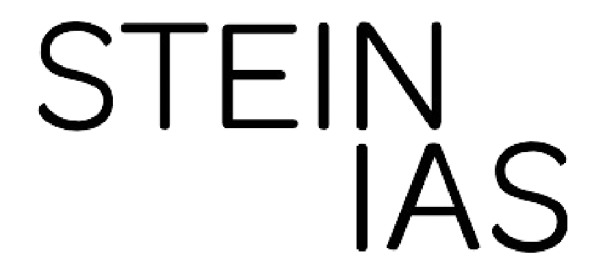 Stein IAS Logo